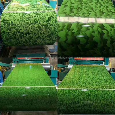 ASTM 표준 Z40-275 Ral Sgcc 핫 디프 가લ્પ화 Ppgi Ppgl 사전 페인트 스틸 코일 꽃 디자인 색상 가લ્પ화 코일